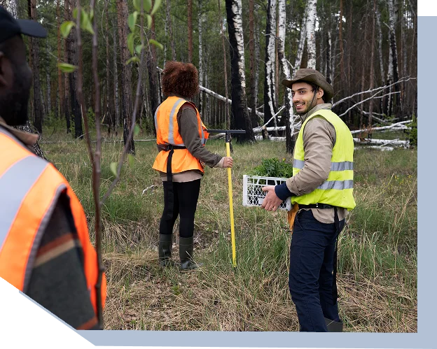Soil And Land Surveys