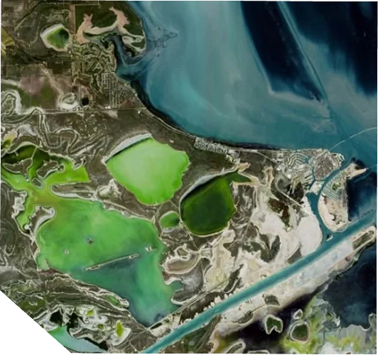 Oceanographic Forecasting