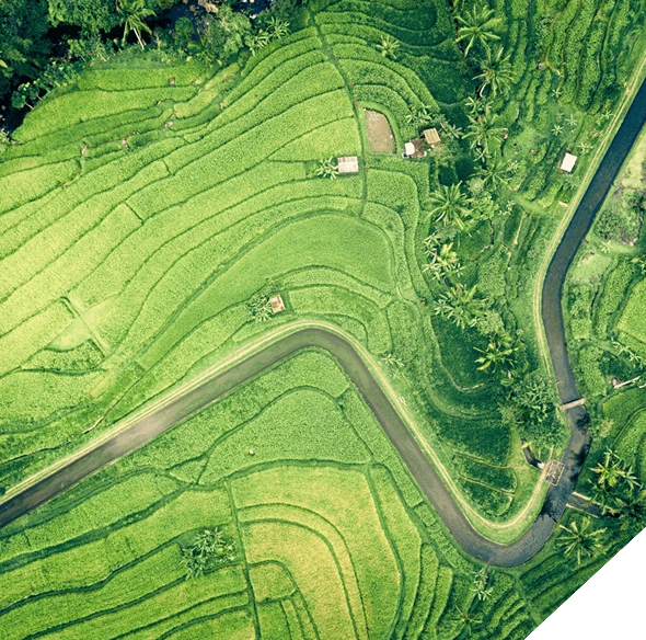 Location Intelligence