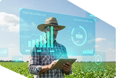 spatial data analysis