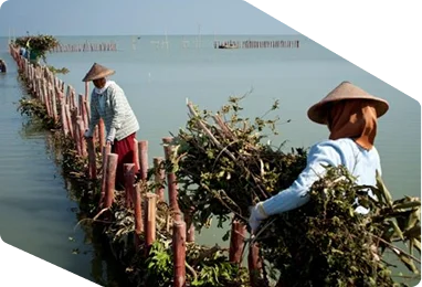 Bathymetric and hydrographic surveys